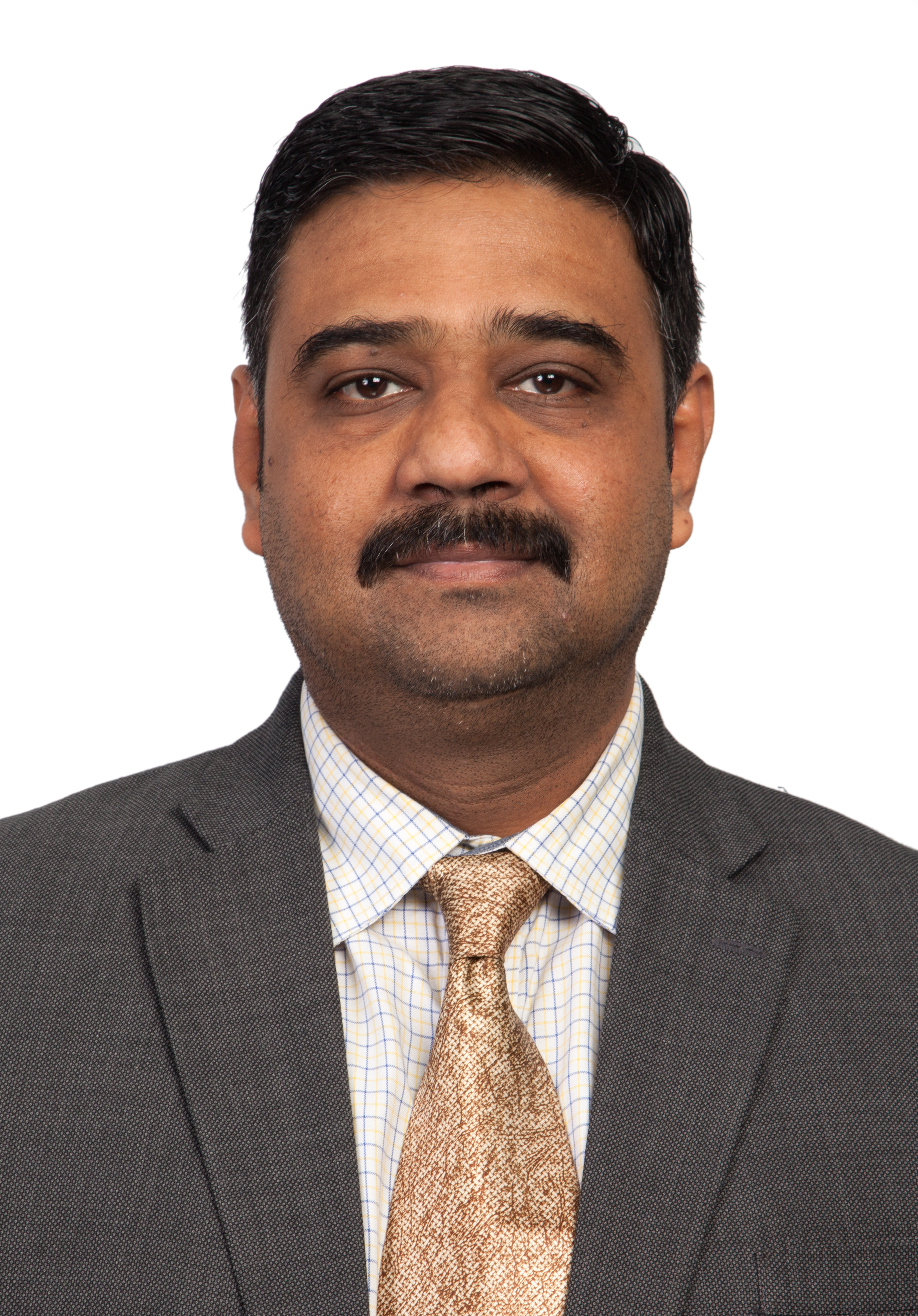 Ganesh Iyer — Principal Consultant, Consult VCS